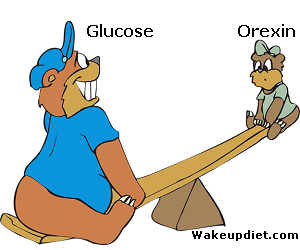 Cartoon: Glucose and Orexin, playing on a teeter totter