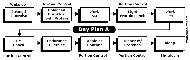 Wakeup Diet: 
       Block diagram of main features